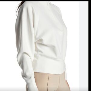 The Limited long sleeve sleek shirt